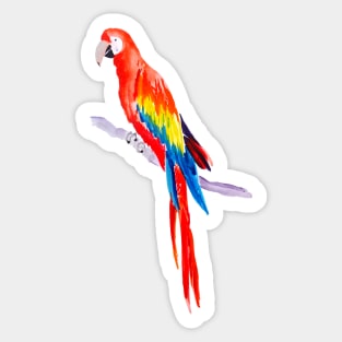 Rainbow Parrot Sticker